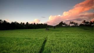 360 Panorama-Ubud, Bali, Indonesia-Rice Fields