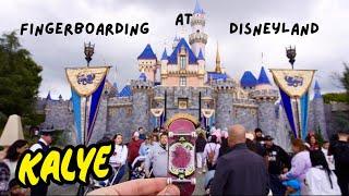 Fingerboarding at Disneyland!