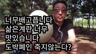 삶은계란 너무 맛있습니다#카지노폐인#너무배고파서