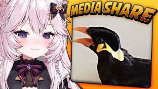 This Is One of My FAVORITE Videos! - Nyanners Media Share (REUPLOAD)