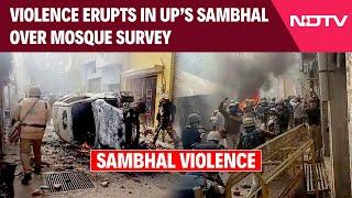 Sambhal Violence Latest News | Violence Erupts In UP' Sambhal Over Mosque Survey, Tear Gas Used