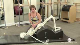 Pilates & Your Skeleton on the Gratz Spine Corrector
