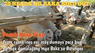 May Namakyaw ng 20 heads na Baka!!Boss Ejay Livestock dealer..