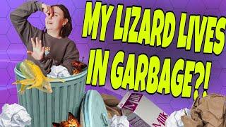 I Made A Home For My Lizard Out Of GARBAGE!