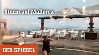 Sturm auf Mallorca: Fliegende Dächer und eine Schiffskollision im Hafen | DER SPIEGEL