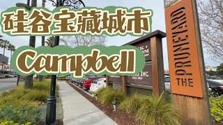 硅谷南湾的宝藏城市Campbell，你了解吗？