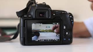 How to focus on a Canon 250D