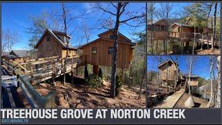Treehouse Grove at Norton Creek#shorts