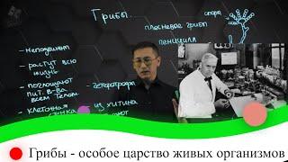 Грибы - особое царство живых организмов. 8 класс.