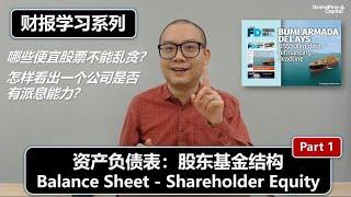 财报学习1: 资产负债表（股东基金/Shareholder Equity, Part 1）