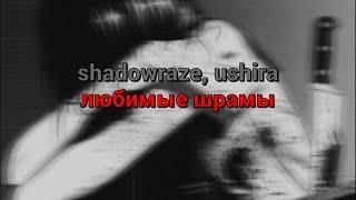 shadowraze, ushira - любимые шрамы (текст песни)