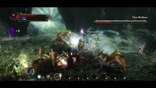 Kingdoms of Amalur Reckoning vs The Widow