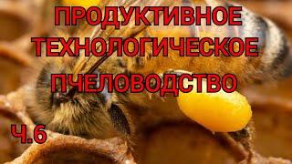 Ч.6 МНОГОКОРПУСНОЙ УМНЫЙ УЛЕЙ И МЕТОДЫ ПЧЕЛОВОЖДЕНИЯ. семья медовик и пакет из одной семьи.