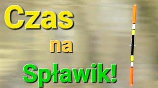 Nie mogłem dłużej czekać! Spławik na PZW!  Wędkarstwo Spławikowe