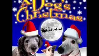 We Wish You a Merry Christmas  Barking Dogs Christmas Song