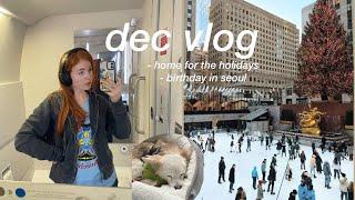 usa vlog  christmas in nyc, my birthday, snow days in my apartment, life in seoul, korea