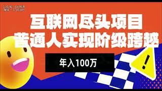 互联网尽头项目：年入100W，普通人实现阶级跨越