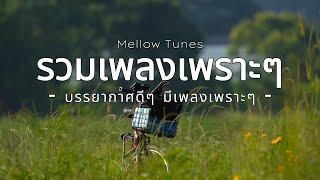 รวมเพลงเพราะๆ บรรยากาศดีๆ มีเพลงเพราะๆ - By Mellow Tunes