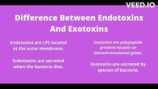 what are difference between endotoxin and exototoxin