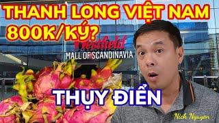 HẾT HỒN THANH LONG VIỆT NAM 800K/1KG TẠI SIÊU THỊ STOCKHOLM THUỴ ĐIỂN | Du lịch Bắc Âu | Nick Nguyen