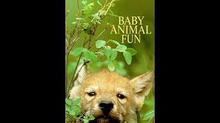 Grunko Films - Baby Animal Fun (1988)