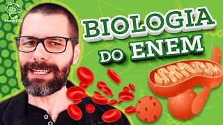 COMO APRENDER BIOLOGIA PARA O ENEM NO DIA A DIA com Samuel Cunha