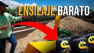 ECONOMIC AND EASY silage