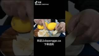 韩国黄金香瓜试吃Honey melon Test