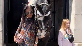 "Magical Moments with Majestic Horses: Touring Horse Guards London!