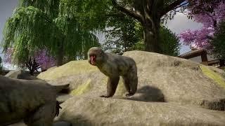 Japanese macaque | Planet Zoo Animals