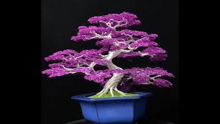 Bonsai tree art ideas from steel wire #01