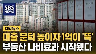 대출 문턱 높이자 1억이 '뚝'…부동산 나비효과 시작 (자막뉴스) / SBS