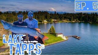 Musky Fishing Lake Tapps Washington State Tiger Muskie