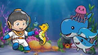 Sea Animals: Learning with Yusuf