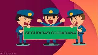 La seguridad ciudadana