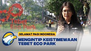 Tebet Eco Park Berhasil Torehkan Penghargaan Internasional