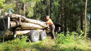 Hauling The Dried Birches | The Forgotten Log Cabin Project