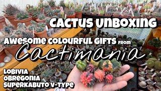 Cactus Unboxing from @Cactimania | Colourful cacti gift | variegated plants | Obregonia Astro V-type