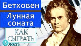 ЛУННАЯ СОНАТА НА ПИАНИНО урок №3 Как сыграть на фортепиано Бетховен Moonlight sonata красивая музыка