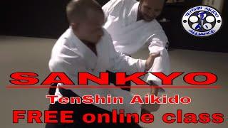 SANKYO - FREE Tenshin Aikido onlice class