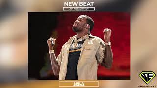 SUPEREARZ: MULA - (MEEK MILL TYPE BEAT) INSTRUMENTAL  (PROD. BY D-ROK & BJ)