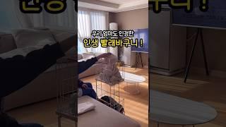 우리 엄마도 인정한 빨래바구니!! #공동구매 #리뷰 #살림 #살림꿀팁