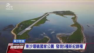 東沙環礁國家公園 發現5種新紀錄種 20200422 公視晚間新聞