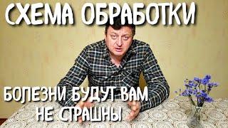 СХЕМА ОБРАБОТКИ. Борьба с болезнями и вредителями. Как всегда получать урожай на винограднике