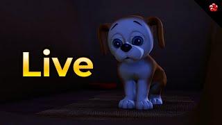  LIVE STREAM  Pupi Cartoon Live for Kids  Pupi Stories and Songs 