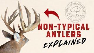 Non-Typical Antlers: How They Form and What Makes Them Unique