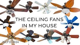 The Ceiling Fans in my House | National Ceiling Fan Day 2024