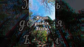 Жизнь дается Богом
