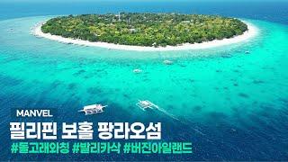 [맨블] 필리핀 보홀 발리카삭 호핑투어! | 돌고래와칭/거북이포인트/버진아일랜드 (4K)