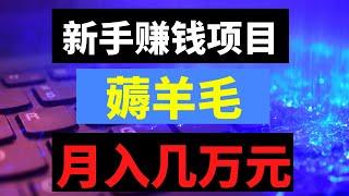 新手网赚项目，分享网上赚钱！新手赚钱方法，薅羊毛月入几万！